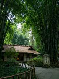 成都保姆級攻略，帶你快樂旅遊