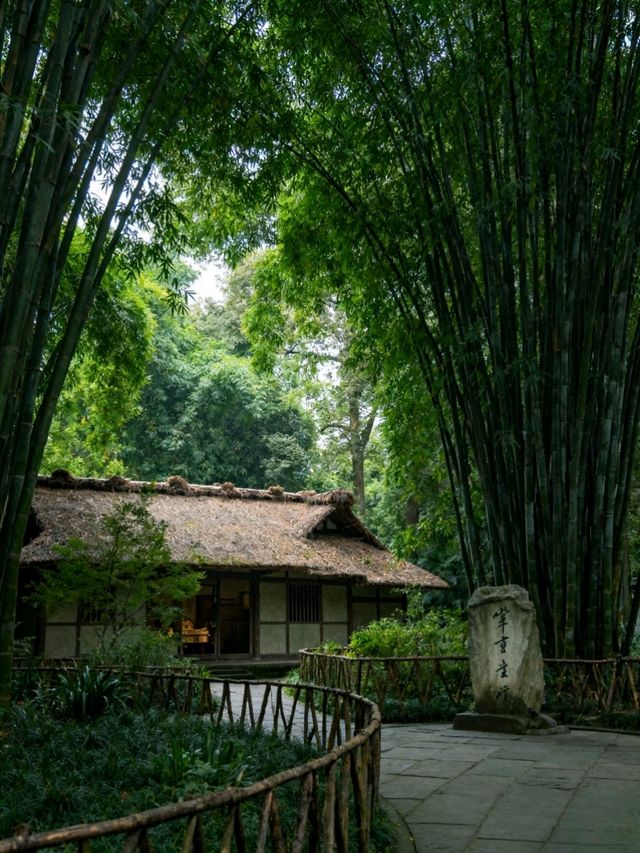 成都保姆級攻略，帶你快樂旅遊