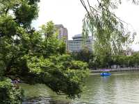 昆明靈魂的後花園——翠湖公園