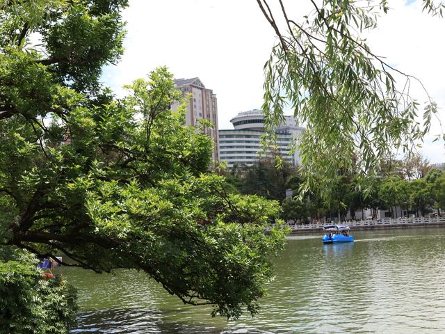 昆明靈魂的後花園——翠湖公園