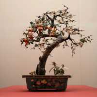 Legacy in Enamel – Robert Chang’s Cloisonné Gift at Shanghai Museum ✨🖌️