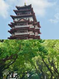 廣州出發1h直達！惠州這顆「低調明珠」，免費逛吃拍太治癒