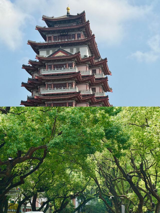 廣州出發1h直達！惠州這顆「低調明珠」，免費逛吃拍太治癒