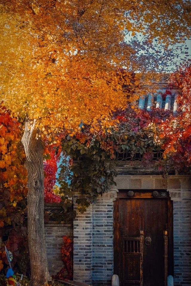 古北水鎮｜秋日限定紅葉盛宴！夜遊長城美到窒息
