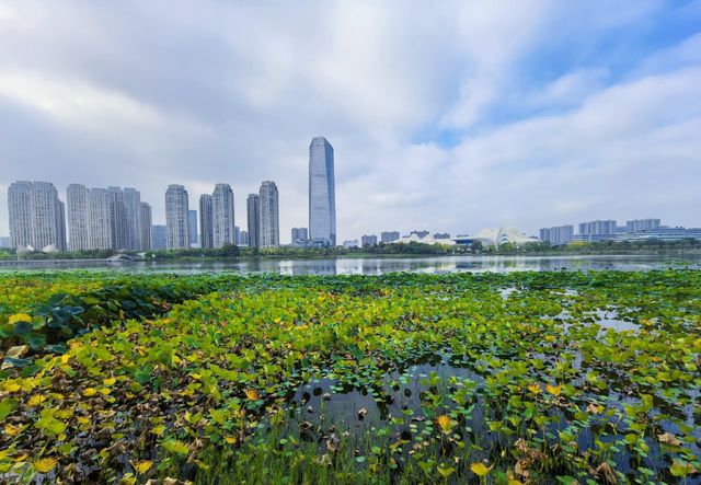 梅溪湖秋日秘境