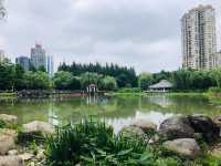 藏在上海的都市桃源，新虹橋中心花園的夢幻謐境！