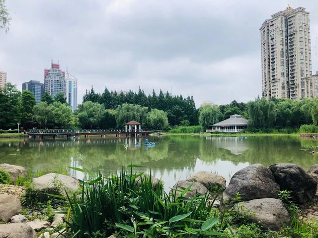 藏在上海的都市桃源，新虹橋中心花園的夢幻謐境！