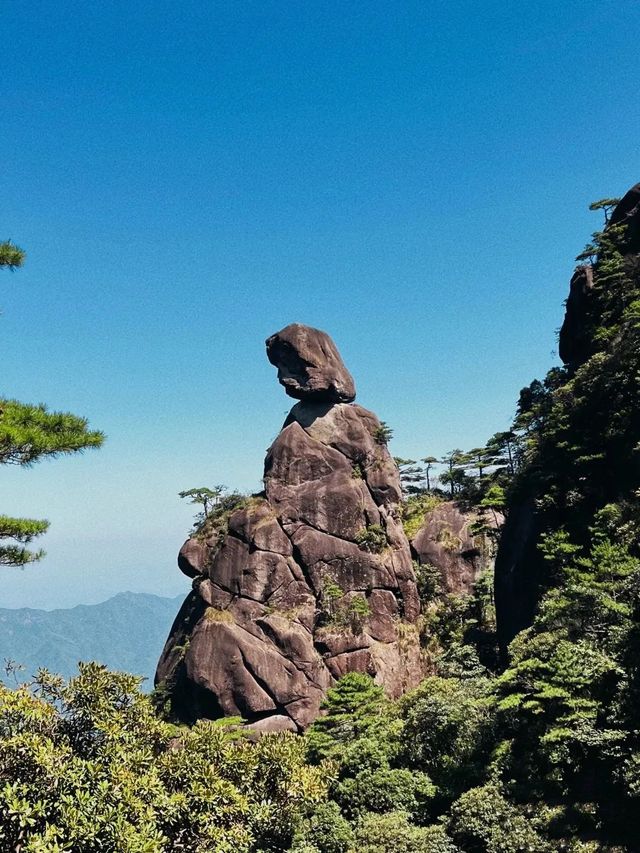 人生得意須盡歡，爬山就來三清山