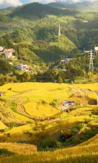 天台山秋色已封神