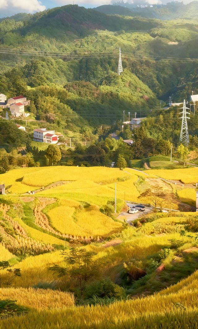 天台山秋色已封神