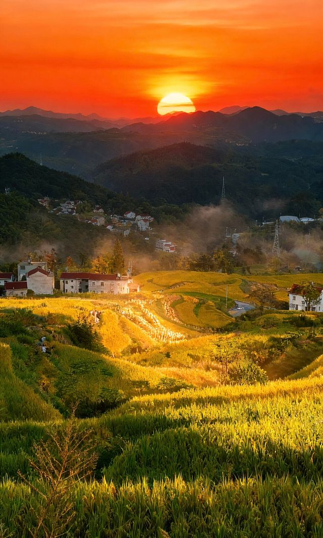 天台山秋色已封神