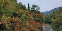 紅峽谷秋日野趣攻略
