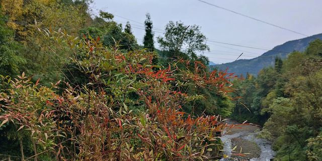 紅峽谷秋日野趣攻略