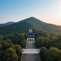 南京三天三夜暴走攻略本地人私藏玩法大公開梧桐樹下吃鹽水鴨中山