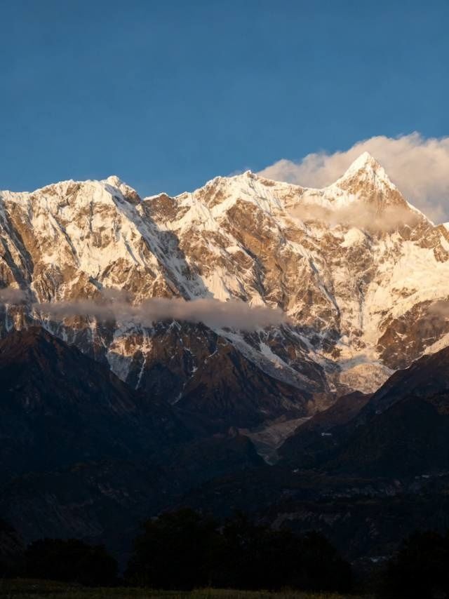 林芝桃花醉雪山 林芝桃花醉雪山