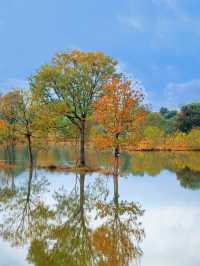 水上紅葉、晨霧牧牛，秋季必打卡的天堂