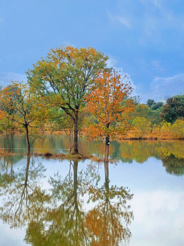 水上紅葉、晨霧牧牛，秋季必打卡的天堂