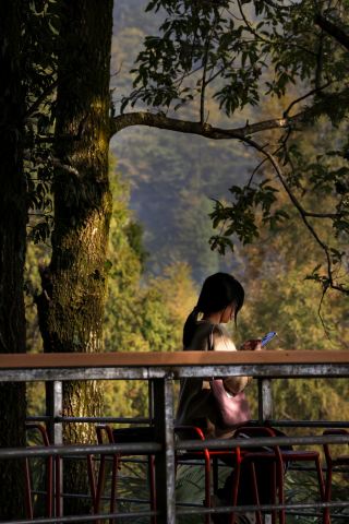 江浙滬也有自己的「大興安嶺」