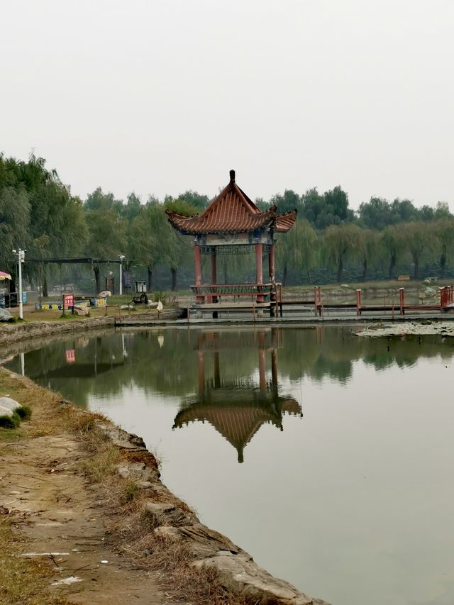 【河南省濮陽市】濮上園景區。