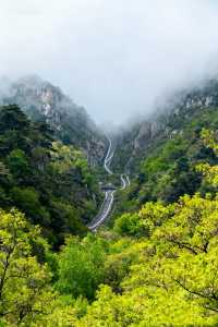 秋日要去濟南-泰安-濟寧美哭啦