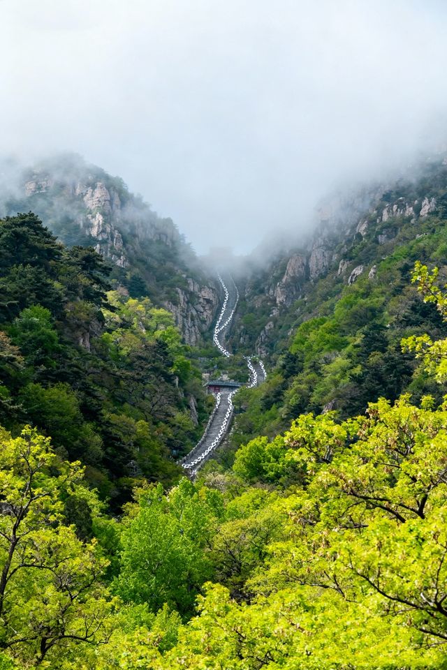 秋日要去濟南-泰安-濟寧美哭啦