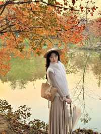 西安小眾賞秋秘境浐灞濕地公園銀杏打卡攻略