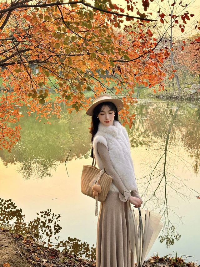 西安小眾賞秋秘境浐灞濕地公園銀杏打卡攻略