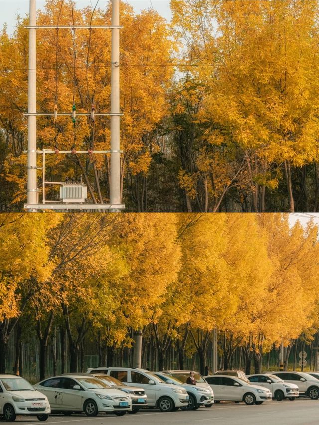 平邑這家酒店太絕了! 平邑這家酒店太絕了!