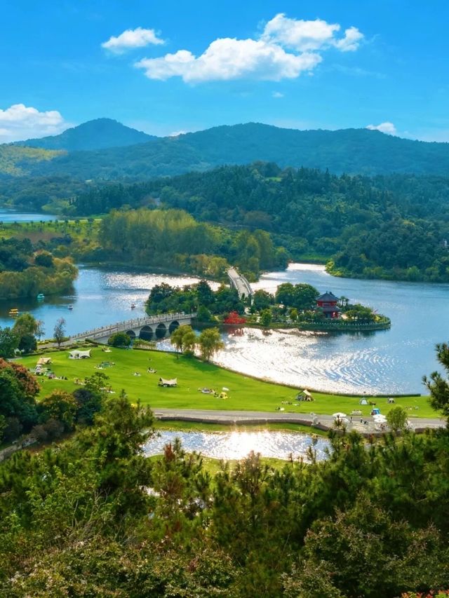 歡迎來銀杏湖遊玩