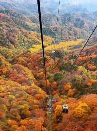 米倉山 秦巴秘境，層林染翠