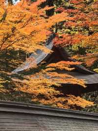 邯鄲紅葉景點推薦｜紅葉漫行必看5大秘境隨手拍大片！