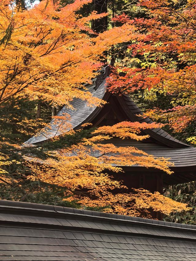 邯鄲紅葉景點推薦｜紅葉漫行必看5大秘境隨手拍大片！