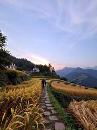 小眾避世！杭州600米海拔的指南村才是江浙滬秋色天花板