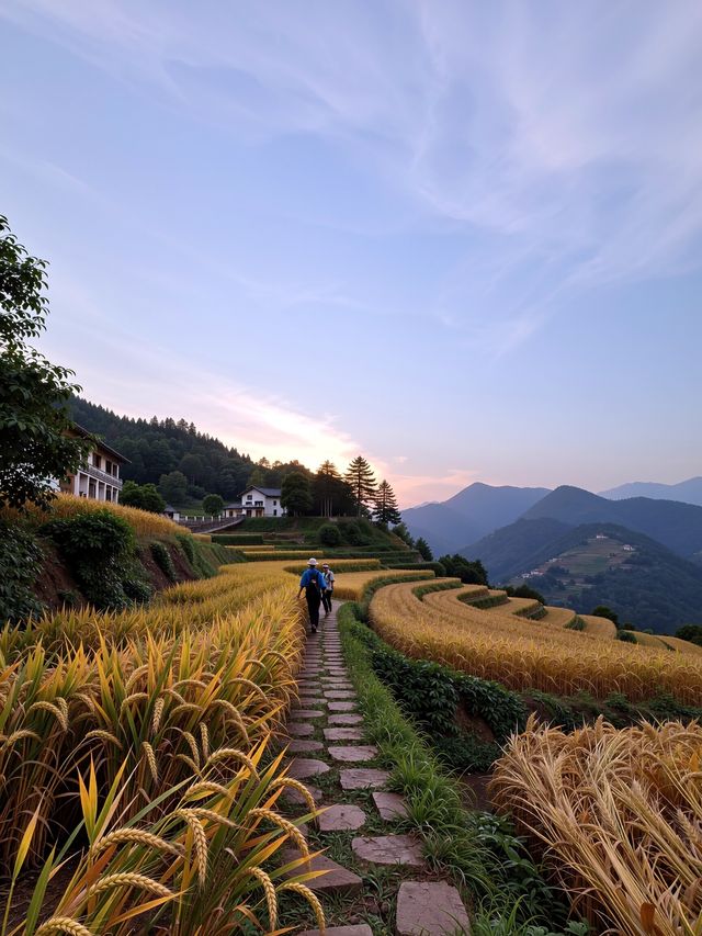 小眾避世！杭州600米海拔的指南村才是江浙滬秋色天花板