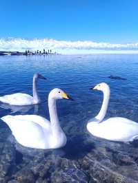 5分封神！賽里木湖一日遊，呢個小團體驗簡直滿分 喺攜程碌到嘅6人小團真係太驚喜喇，全程零中伏，一定要實