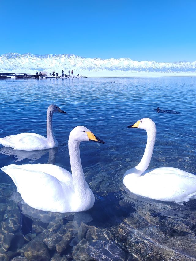 5分封神！賽里木湖一日遊，呢個小團體驗簡直滿分 喺攜程碌到嘅6人小團真係太驚喜喇，全程零中伏，一定要實