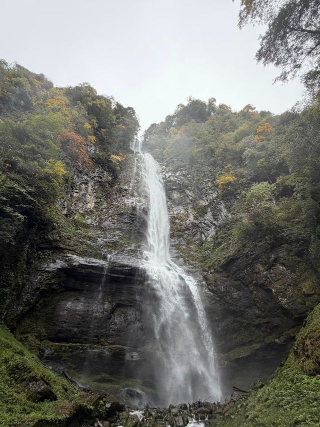 瓦屋山秋冬逃票攻略！免費期衝啊 