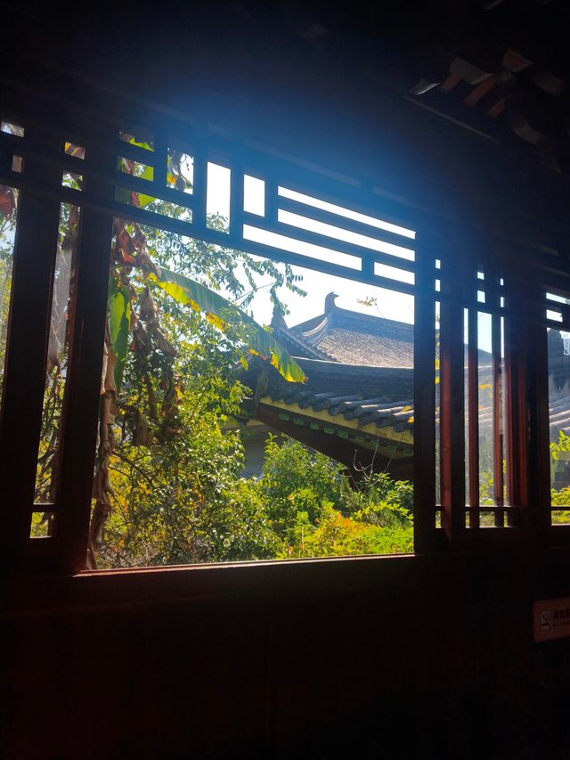 浙江衢州根宮佛國根與佛交織的夢幻之境