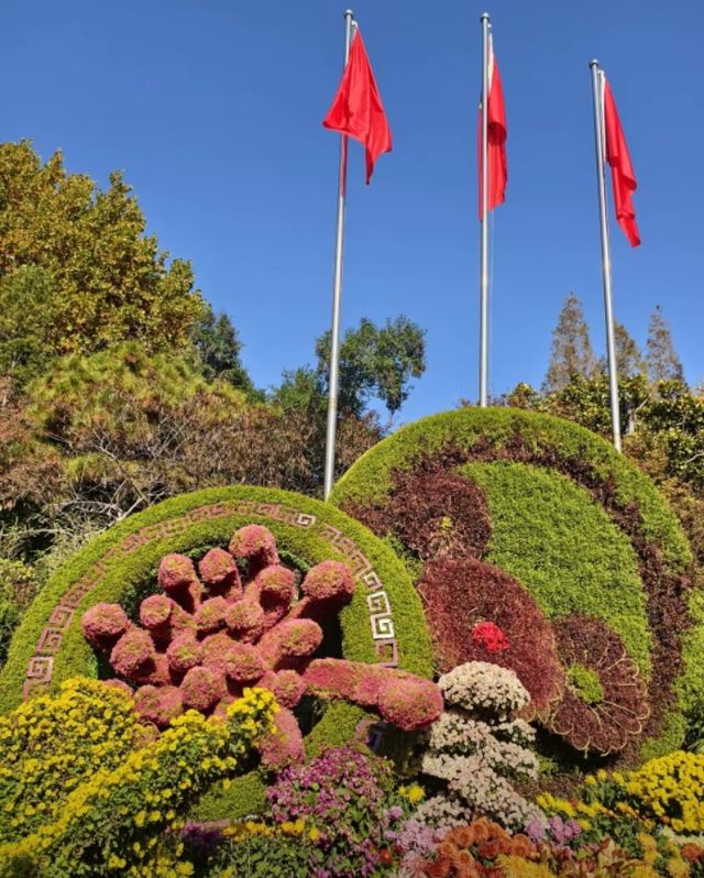 濟南趵突泉賞菊記｜三股清流滿園秋色太治癒了！