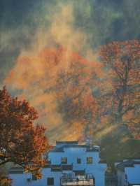 紅楓配炊煙！石城的秋冬晨霧，小眾古村的限定畫卷太絕了