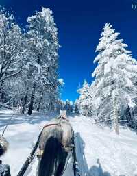 長白山北坡秘境！滑完直接躺進火山溫泉，預算5k拿下4天3晚！
