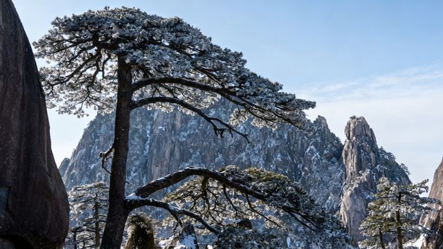 在黃山的水墨仙境裡，5天邂逅「天下第一奇山」的冬雪盛景