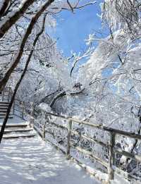 冬日的漢中龍頭山,一日遊攻略