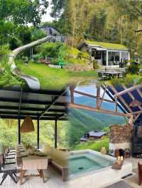 廣州從化獨棟山野小院,青瓦鑲綠意,美到想哭