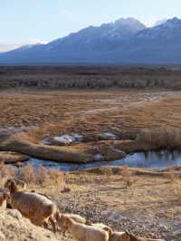 大自然的調色盤在帕米爾被打翻|塔縣攻略|||