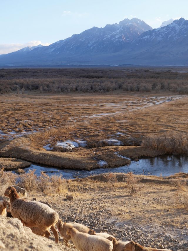 大自然的調色盤在帕米爾被打翻|塔縣攻略||| 大自然的調色盤在帕米爾被打翻|塔縣攻略|||