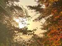 四明山蜘蛛嶺，秋日封神之作！