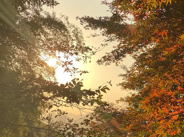 四明山蜘蛛嶺，秋日封神之作！