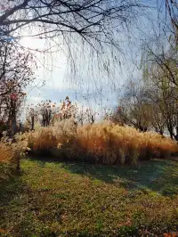 官宣石家莊的封神秋色在這裡