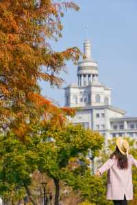 在武漢！99%人都不知道的紅杉公園，免費